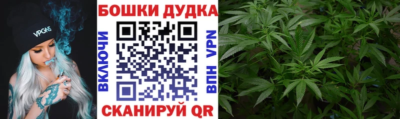 Купить наркотики сайты Карачаевск Бутират  Гашиш  Конопля 