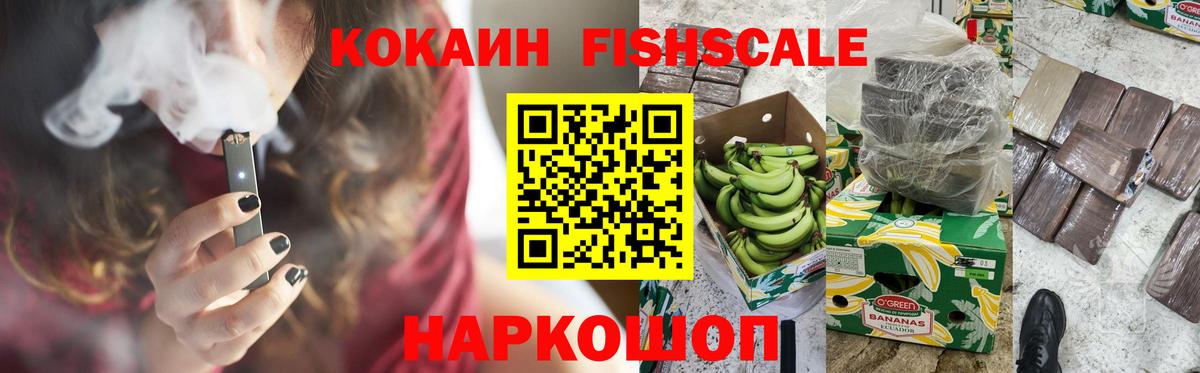 где можно купить наркотик  Кокаин Fish Scale  COCAIN 98%  Вход с VPN  Карачаевск 