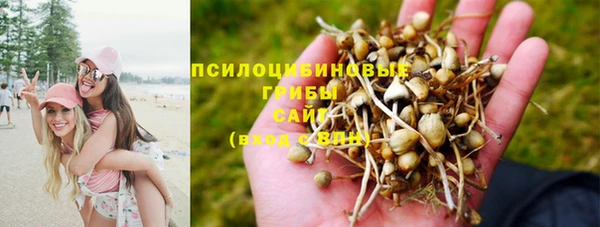 MDMA Михайловск