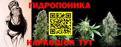 PSILOCYBIN Беслан