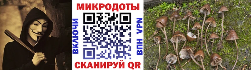 Псилоцибиновые грибы MAGIC MUSHROOMS  где купить   Карачаевск 