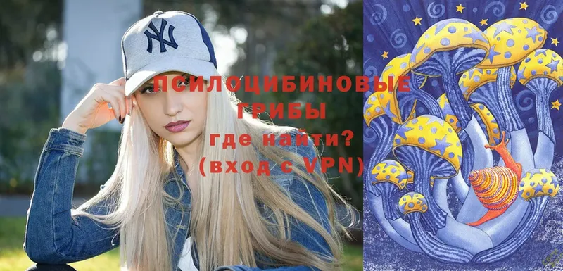 Галлюциногенные грибы Magic Shrooms  omg зеркало  Карачаевск  где найти  