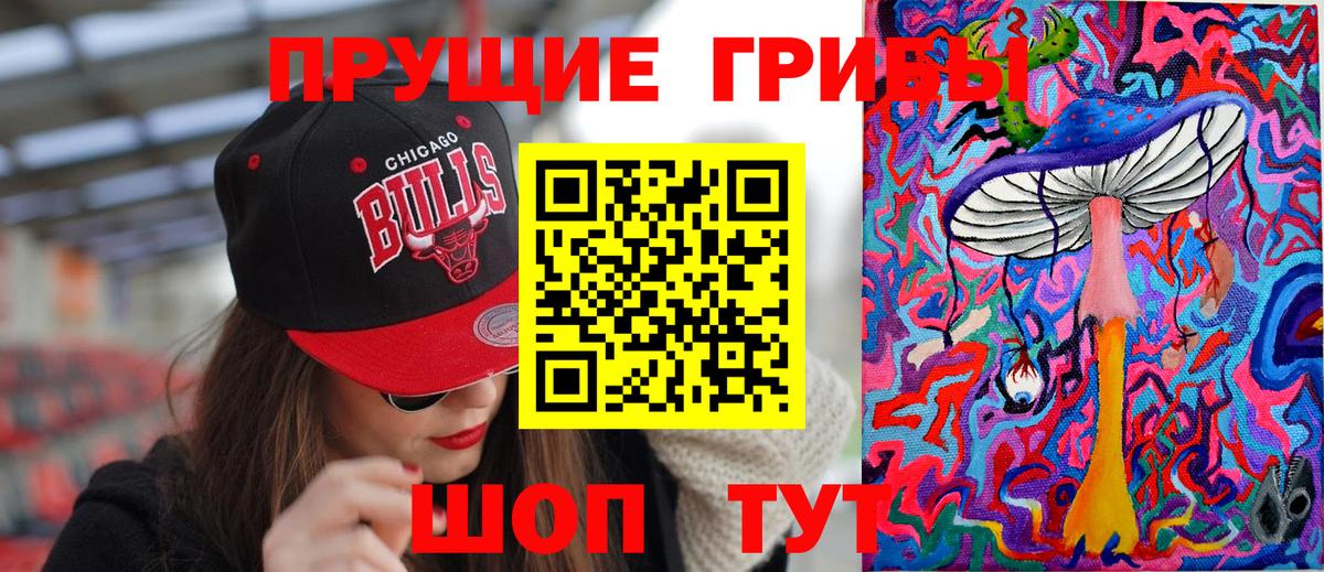 Псилоцибиновые грибы Psilocybine cubensis  закладки  Псилоцибиновые грибы прущие грибы  Карачаевск 