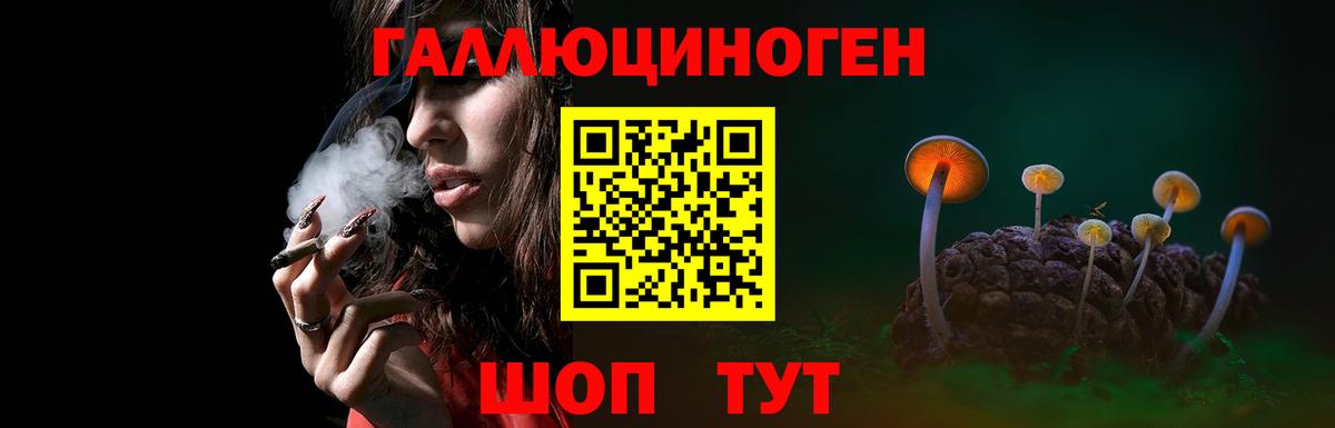 Псилоцибиновые грибы прущие грибы  Вход с VPN  Карачаевск 