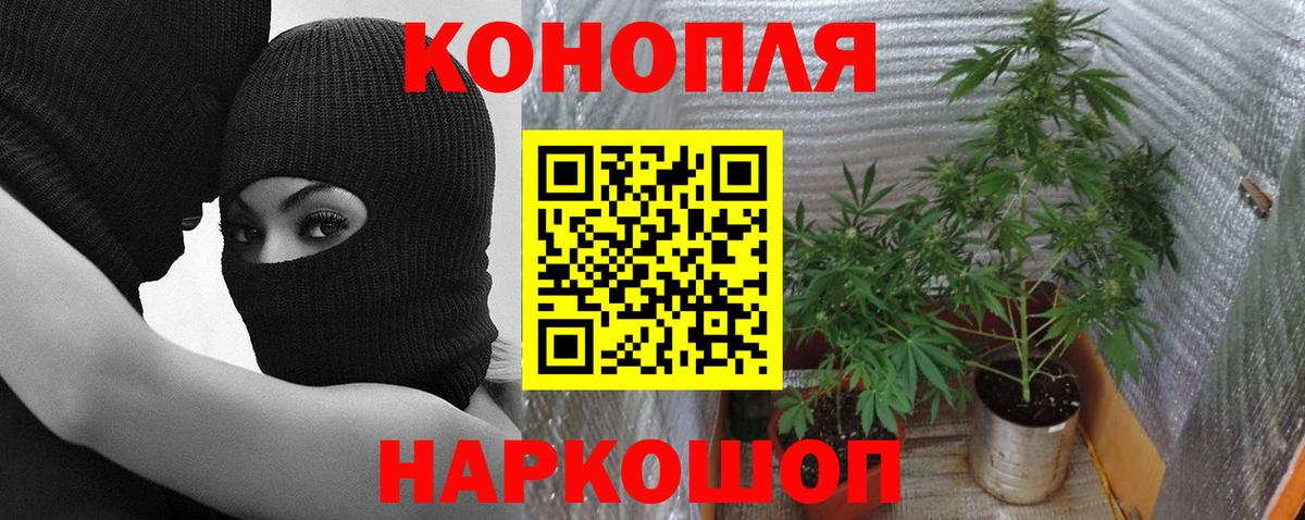 Шишки марихуана гибрид  МАРИХУАНА AK-47  Каннабис Bruce Banner  Карачаевск  Каннабис тримм 